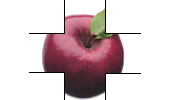  APPLE... fresh 